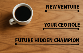 Hidden Champion: Die CEO Herausforderung